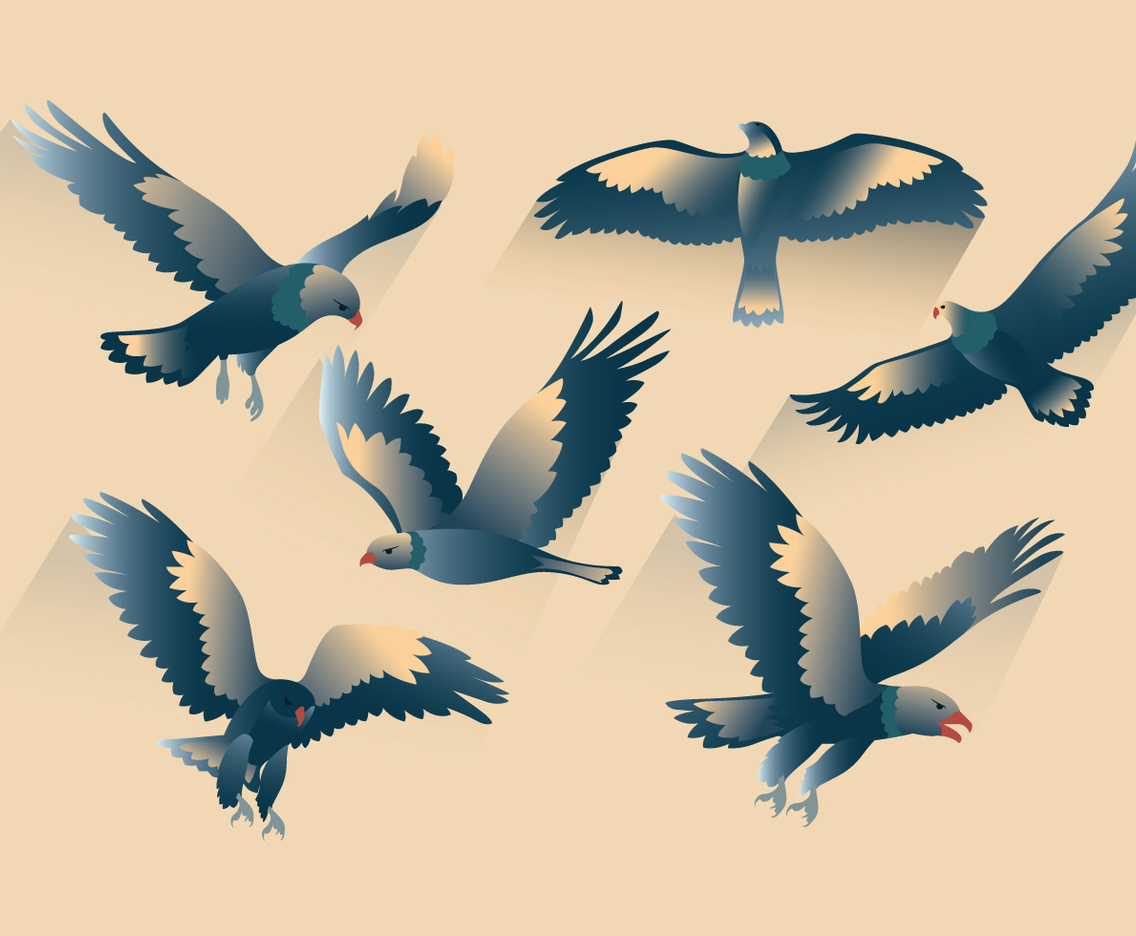 Buzzard Vector