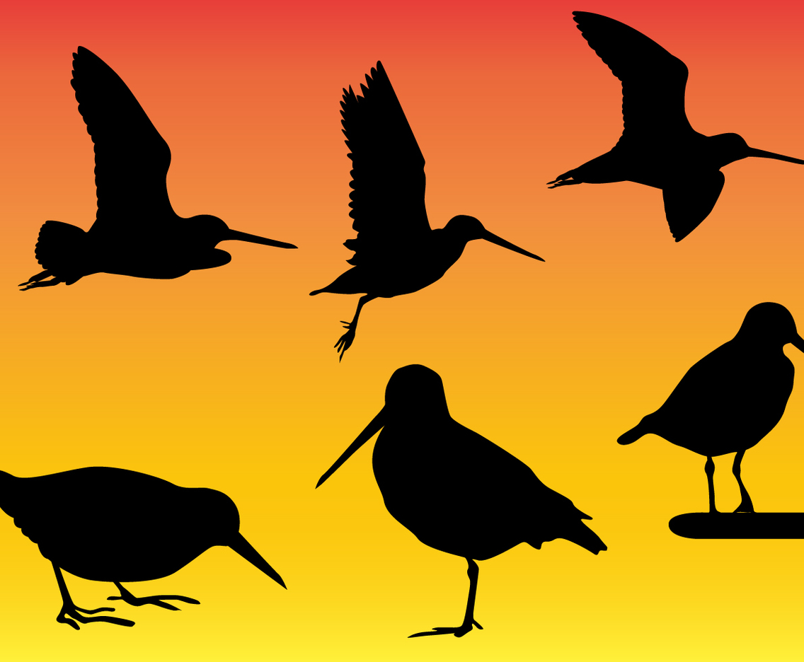 Silhouette Snipes