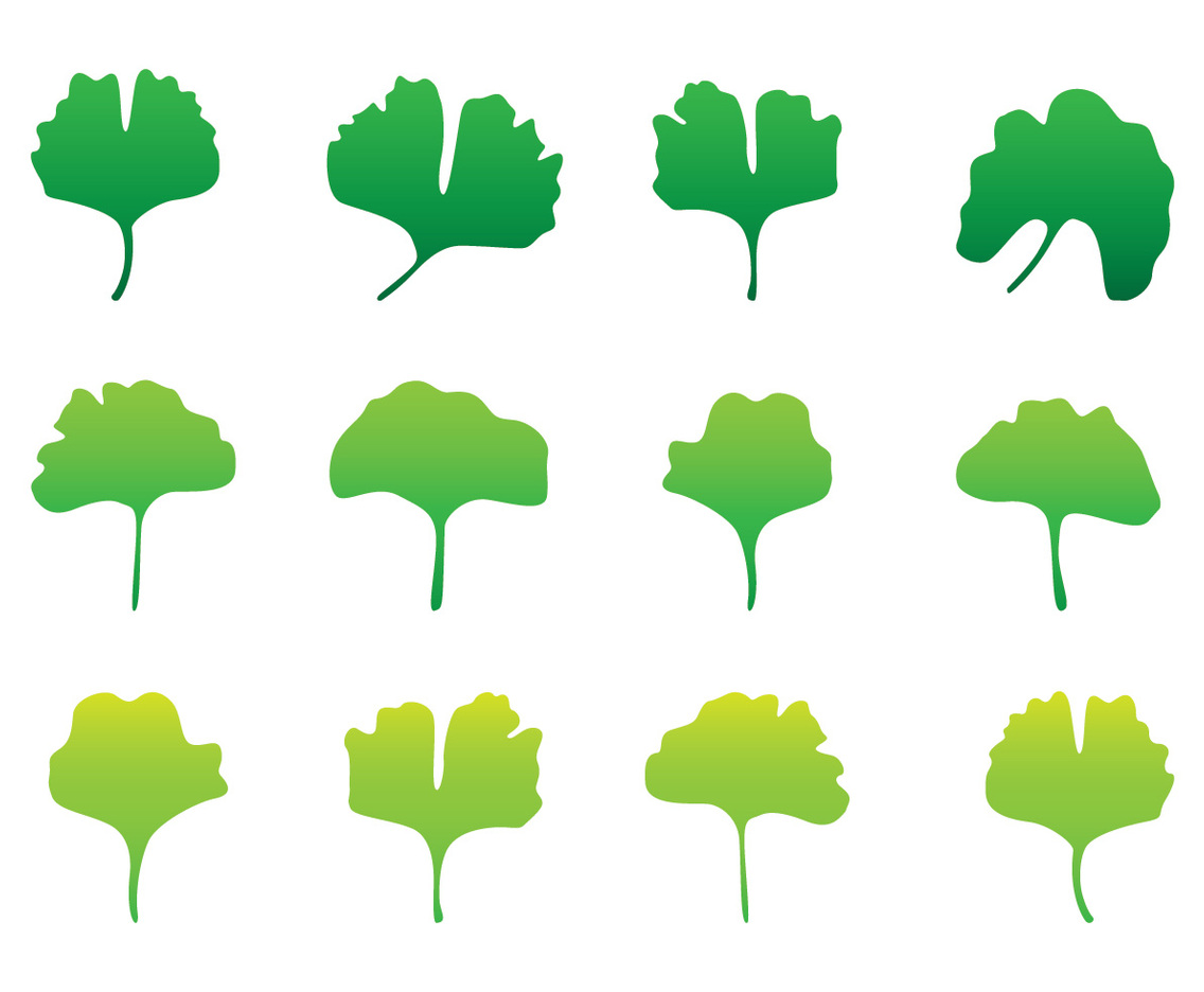 Gingko Shape