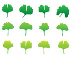 Gingko Shape