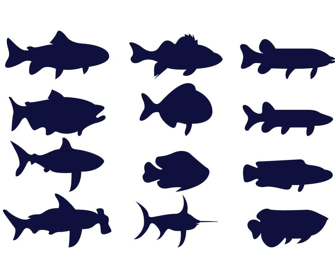 Tiger Muskie Vector