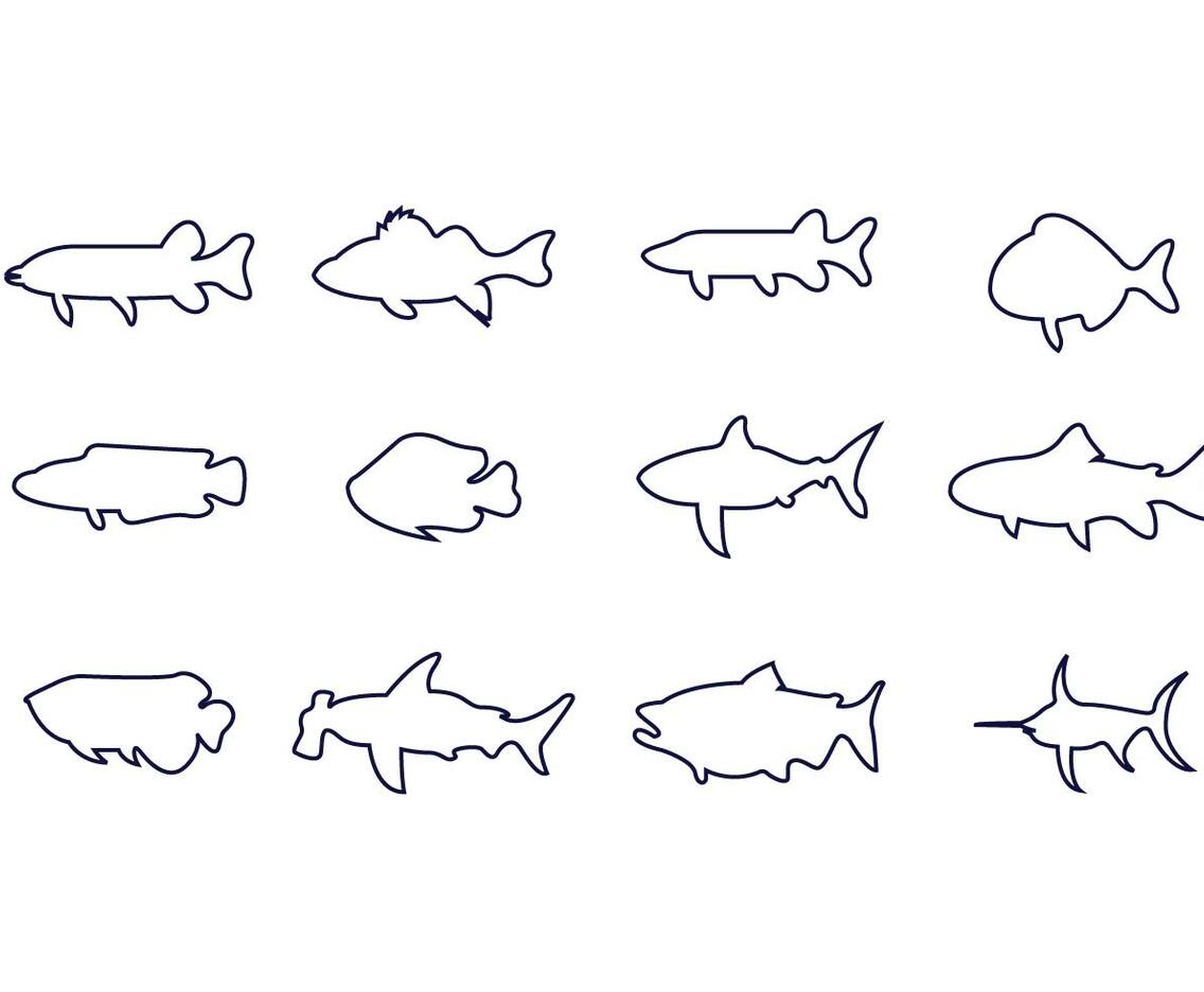 Musky Vector