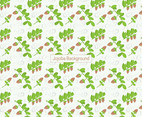 Jojoba Background