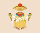 Poncho Illustration