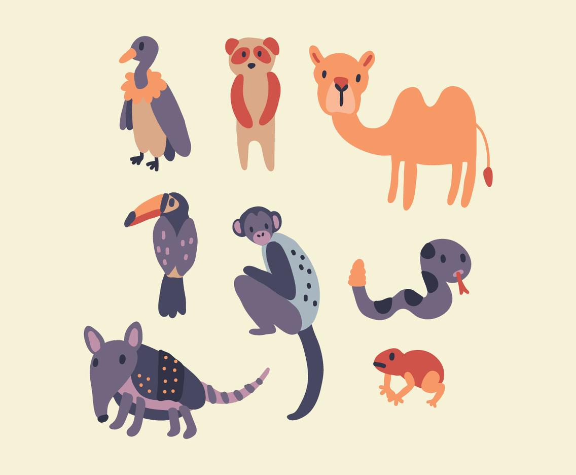Amazonian Animals