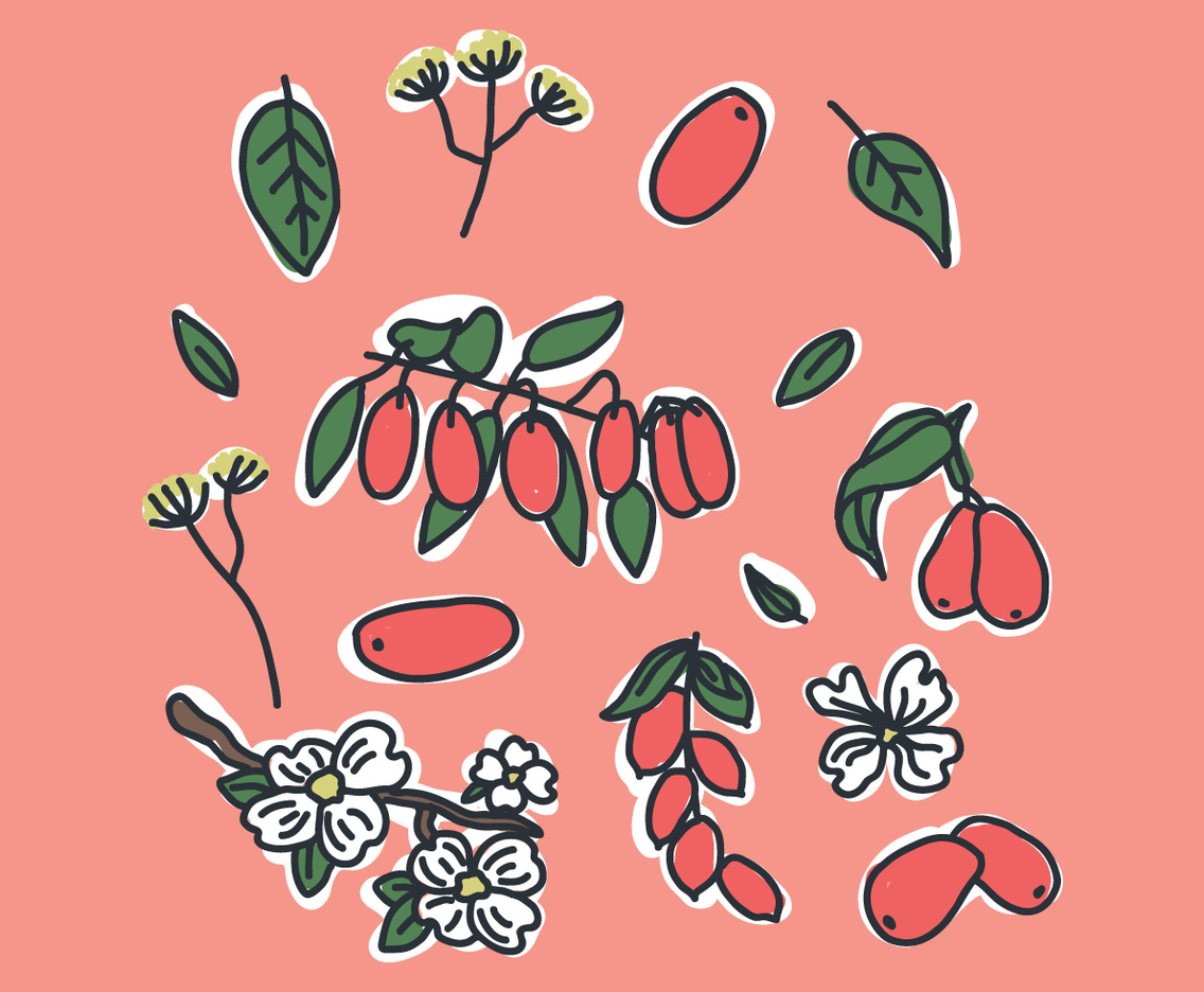Red Dogwood Flowers