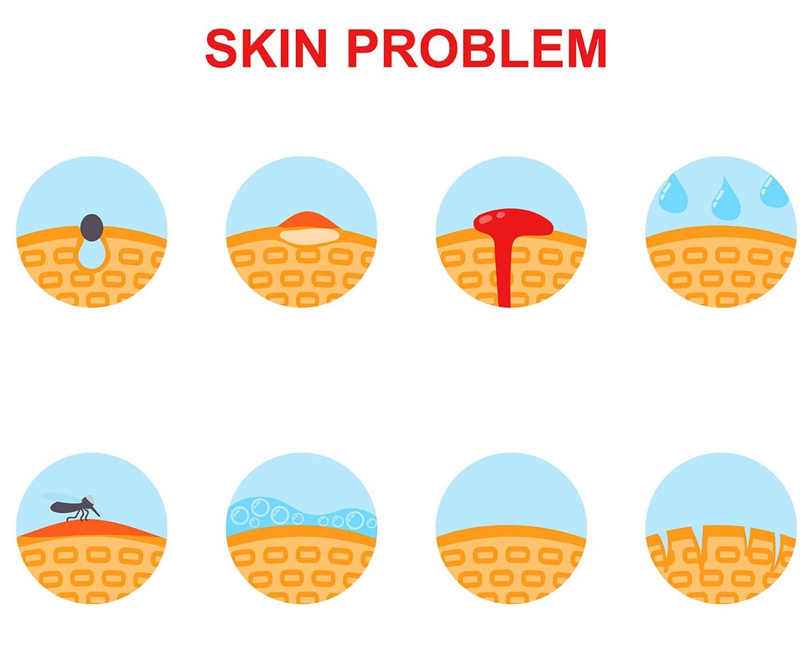 Skin Icon Vector