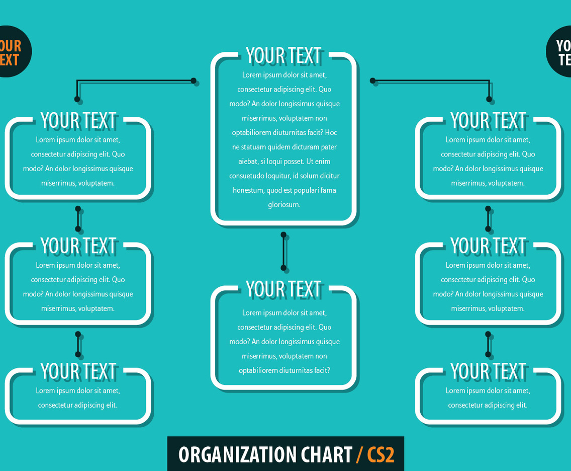 Organization Chart