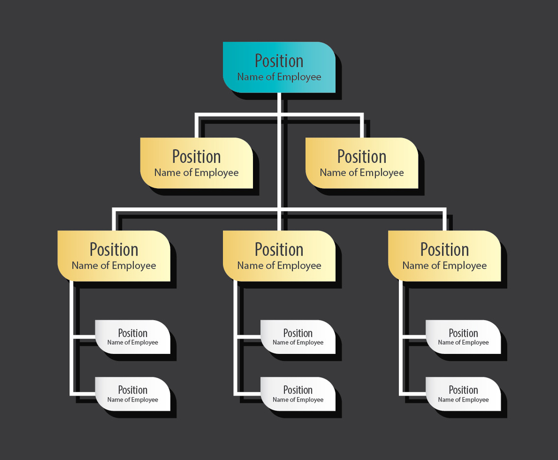 Organization Chart