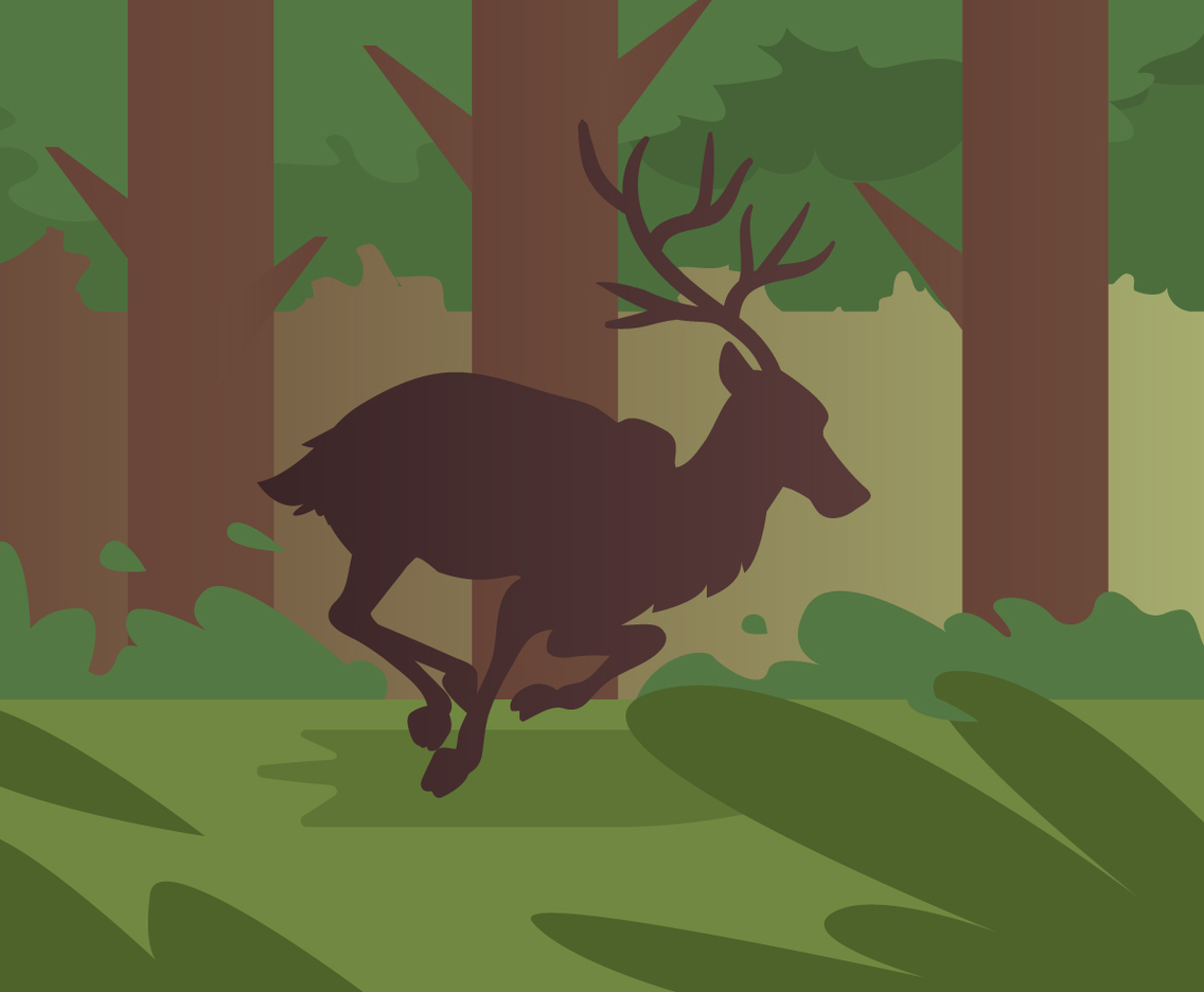 Caribou Run