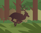 Caribou Run