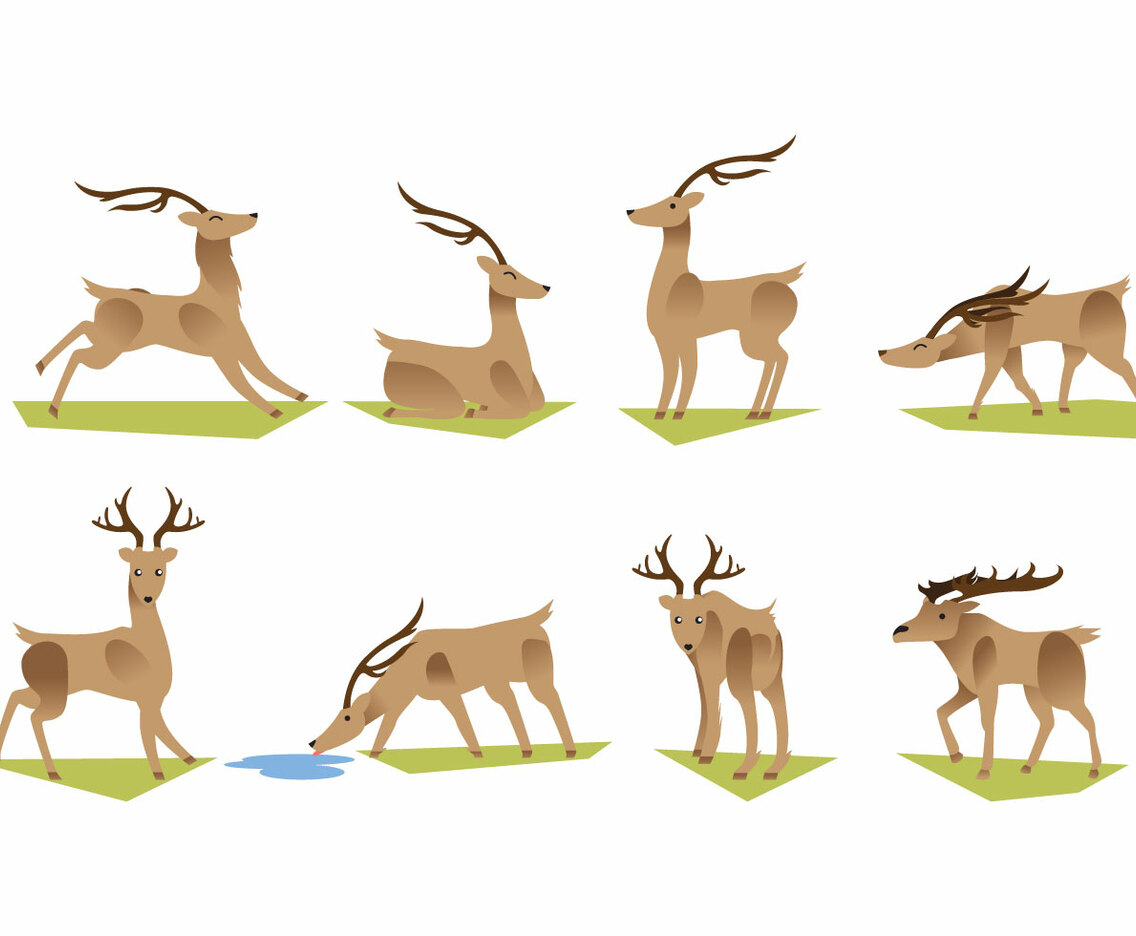 Caribou Vector