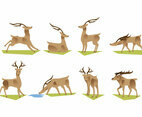 Caribou Vector
