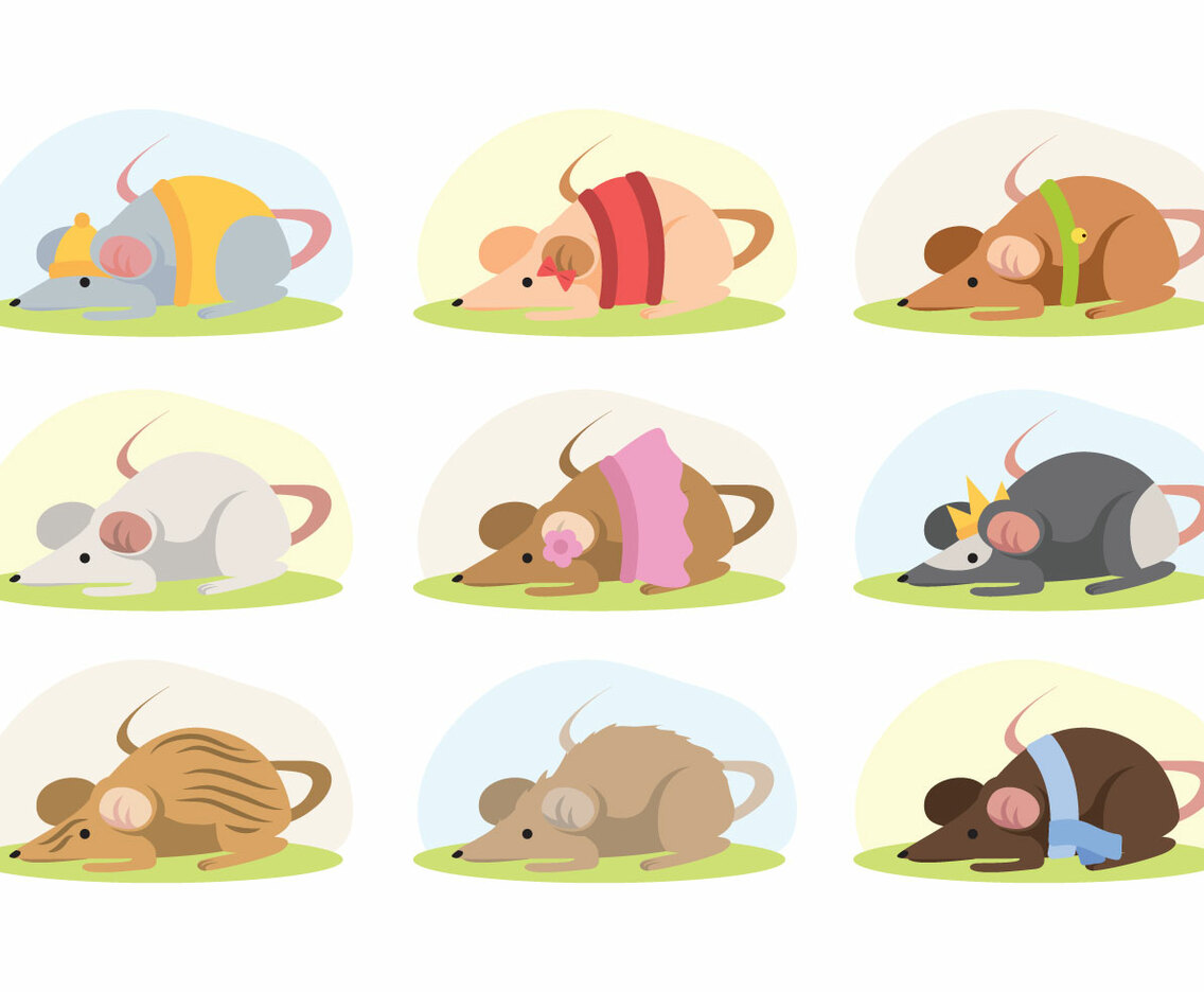 Gerbil Vector
