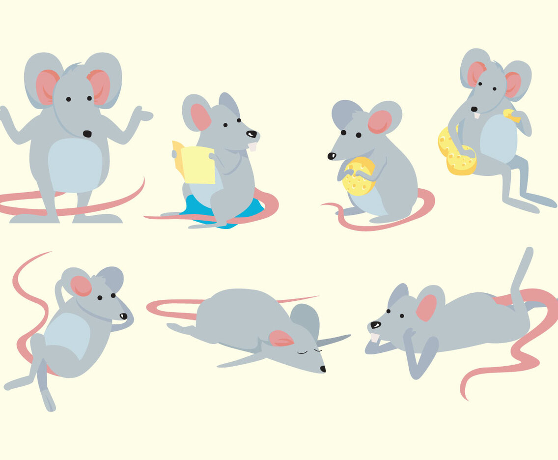 Gerbil Vector