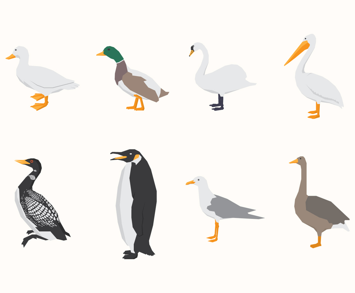 Aquatic Birds