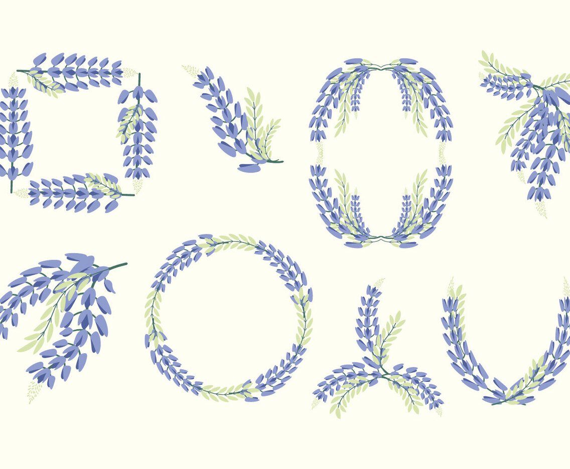 Bluebonnet Vector