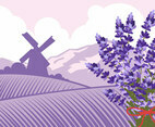 Bluebonnet Valley
