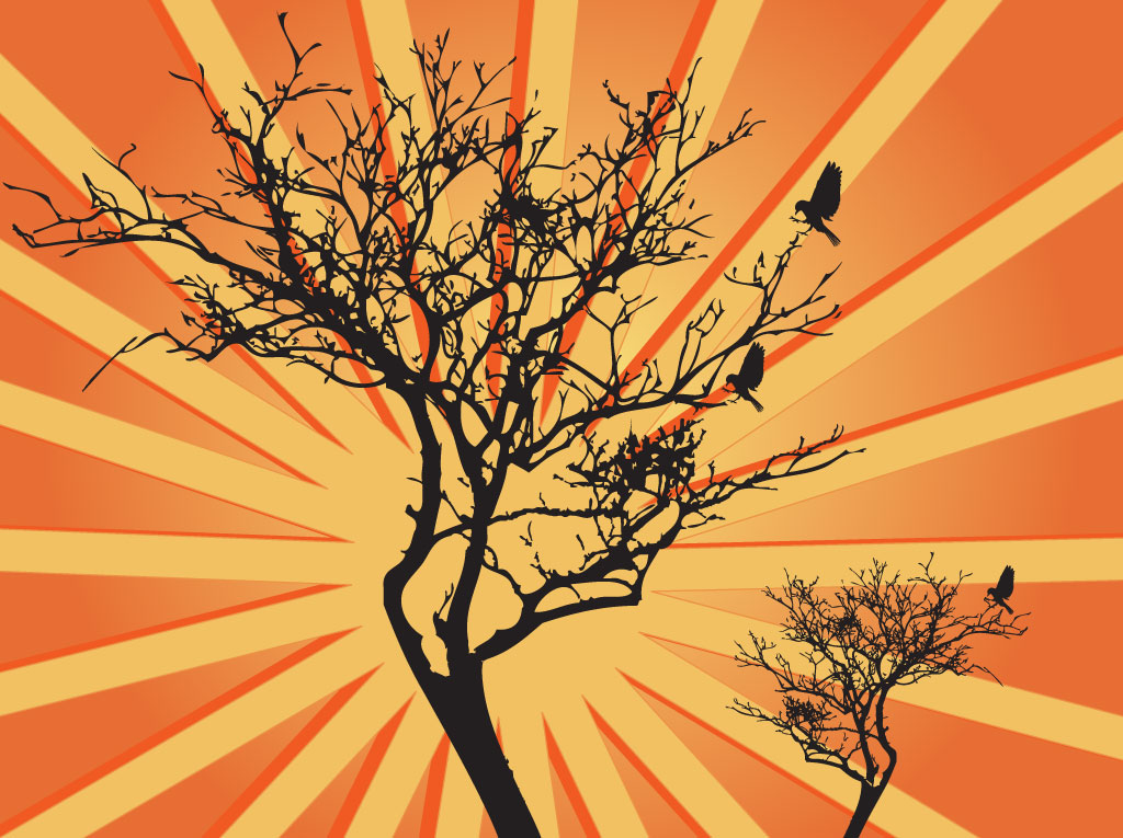 Tree Sunburst Graphics