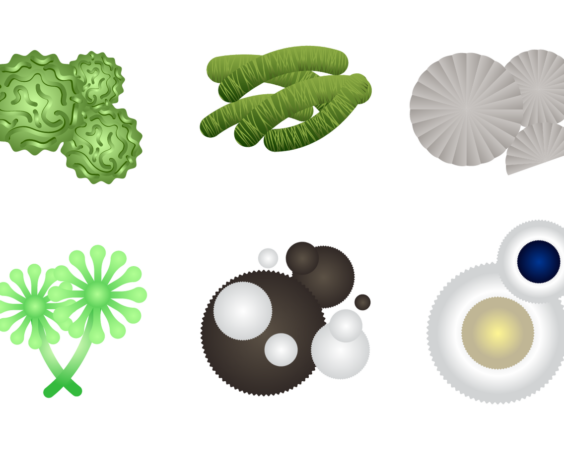 Realistic Mold Vector