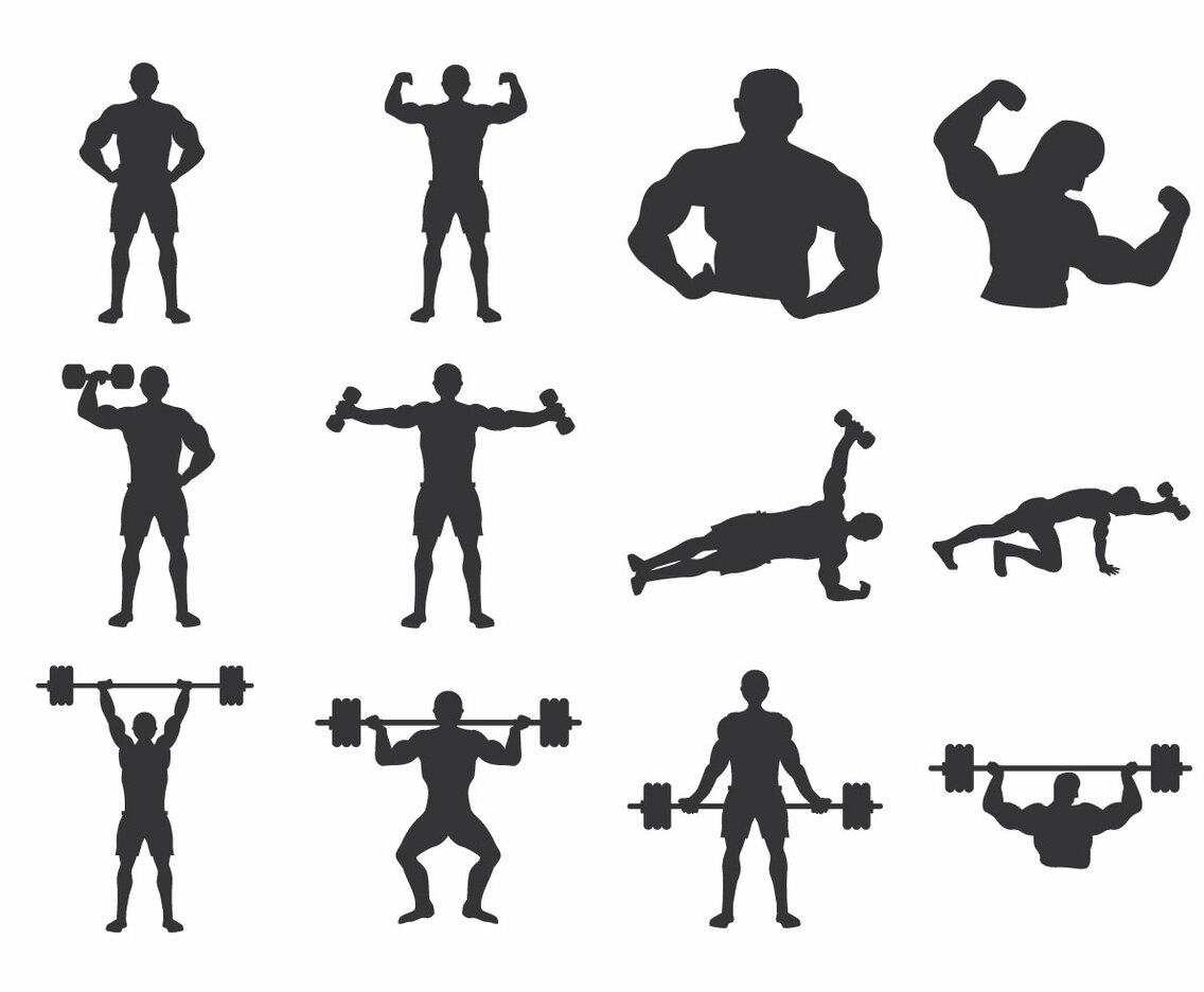 Bodybuilder Body