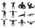 Bodybuilder Body