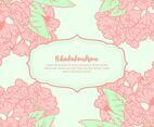 Rhododendron Background