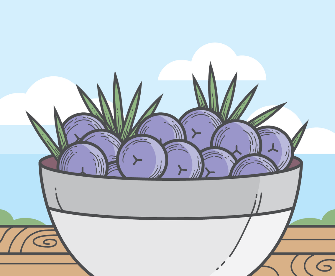 Juniper Berries