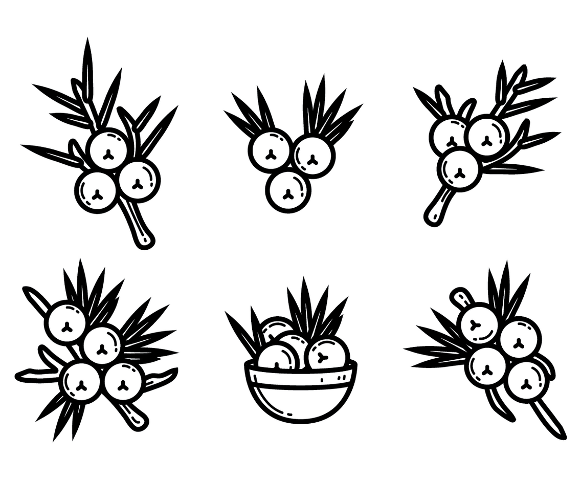 Juniper Vector