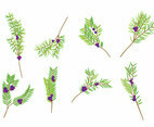 Juniper Vector