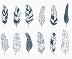Pluma Collection