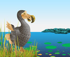 Dodo Bird In Nature