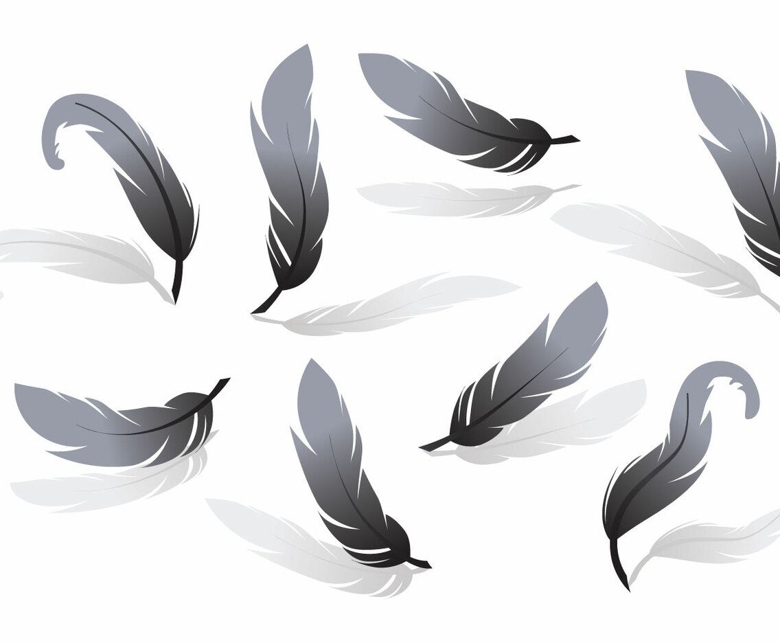 Pluma Vector