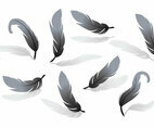 Pluma Vector