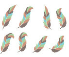 Pluma Vector