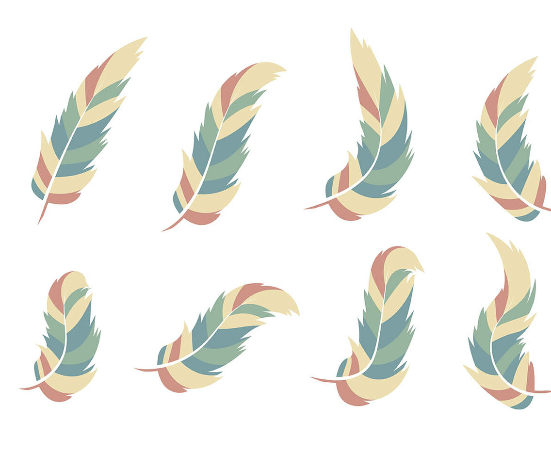 Pluma Vector