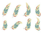 Pluma Vector