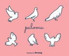 Paloma Vector
