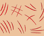 Scracth Marks