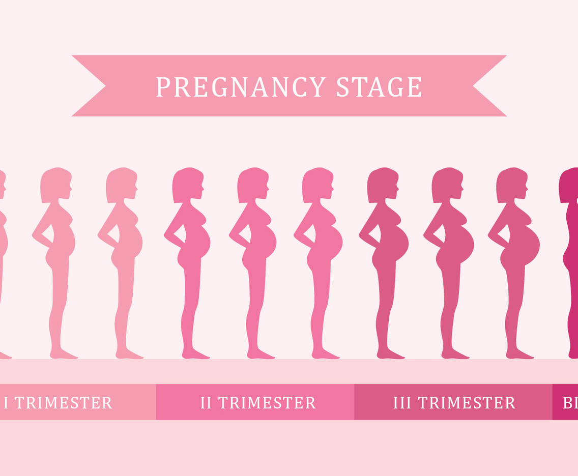Pregnancy Stage