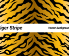 Animal Abstract Skin