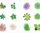 Tree Tops Vector