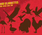 Birds Silhouettes