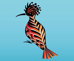 Hoopoe