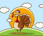 Wild Eastern Turkey