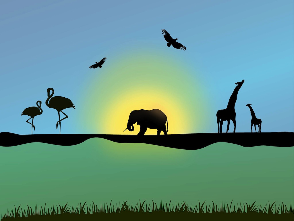 African Animals