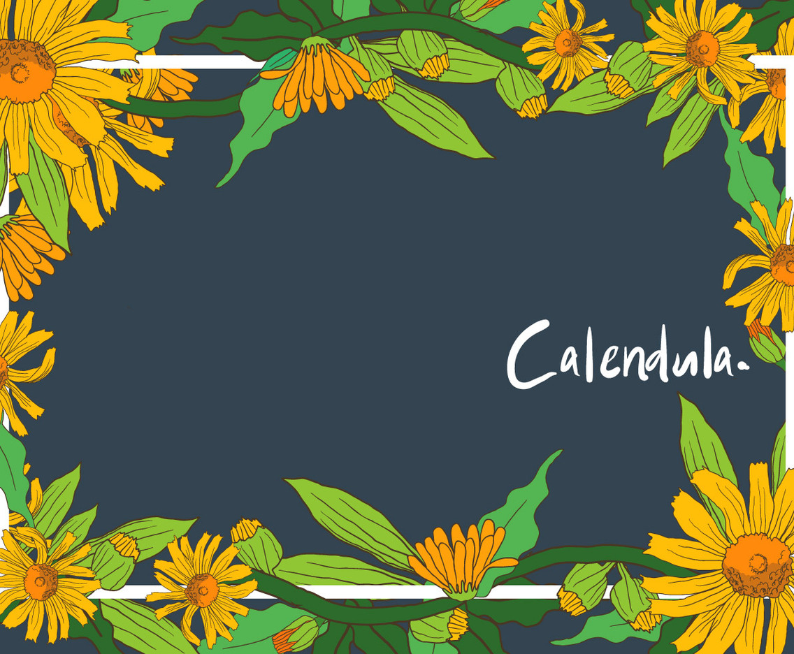 Calendula Frame