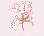 Easter Lily