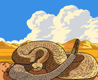 Rattlesnake Curled