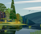 Swamp Landscape